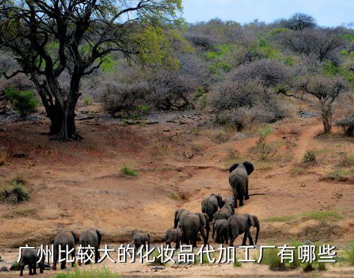 濟南廣州化妝品公司廠家，濟南的化妝品公司有哪些