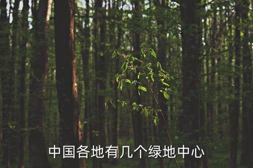 綠地集團在廣州有幾個分公司，綠地集團在哪些城市有分部啊