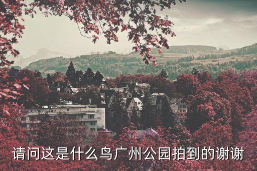 請(qǐng)問(wèn)這是什么鳥(niǎo)廣州公園拍到的謝謝