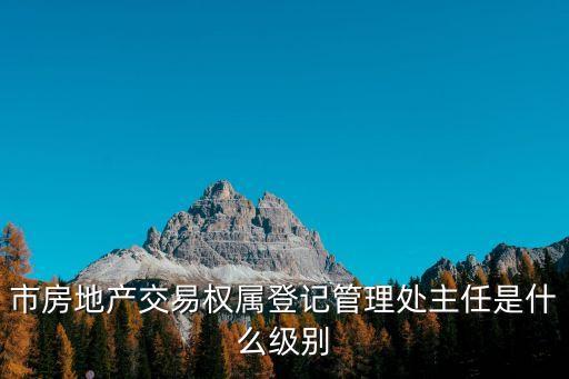 上海市房管局行政級別，市房地產交易權屬登記管理處主任是什么級別