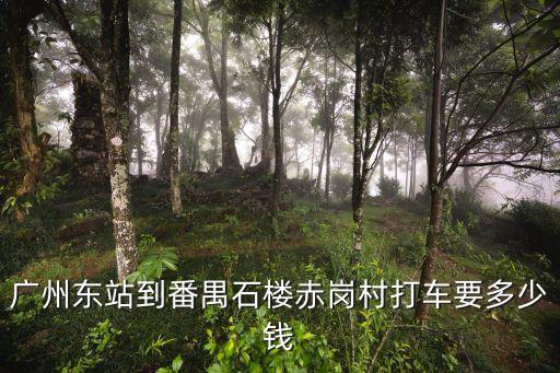 廣州南站到石樓有多少錢，從廣州南站到番禺石樓滴滴打車多少錢