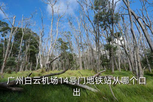 廣州白云機場t14號門在哪里，廣州白云機場14號門地鐵站從哪個口出