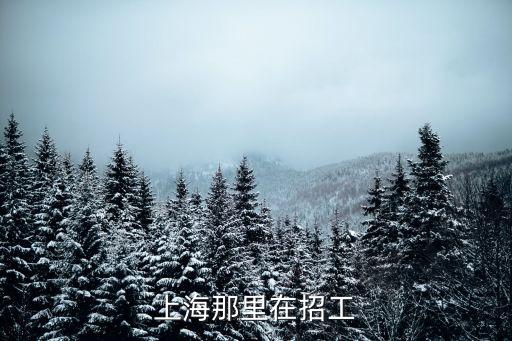 上海那里在招工