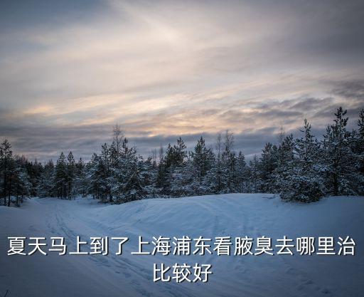 夏天馬上到了上海浦東看腋臭去哪里治比較好