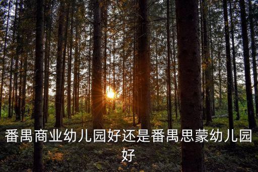 番禺商業幼兒園好還是番禺思蒙幼兒園好