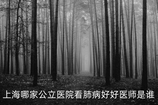 上海哪家公立醫院看肺病好好醫師是誰