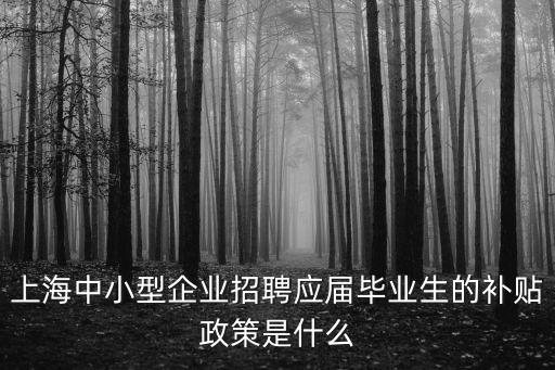 上海中小型企業(yè)招聘應(yīng)屆畢業(yè)生的補(bǔ)貼政策是什么