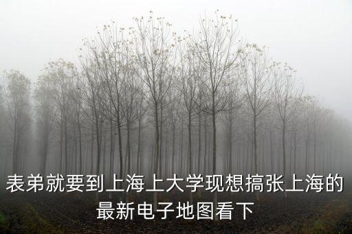 表弟就要到上海上大學(xué)現(xiàn)想搞張上海的最新電子地圖看下