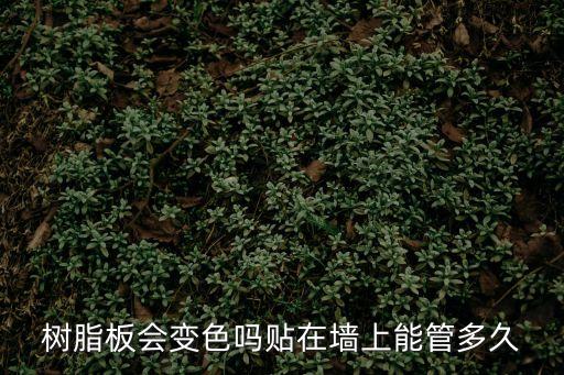 樹脂板會變色嗎貼在墻上能管多久