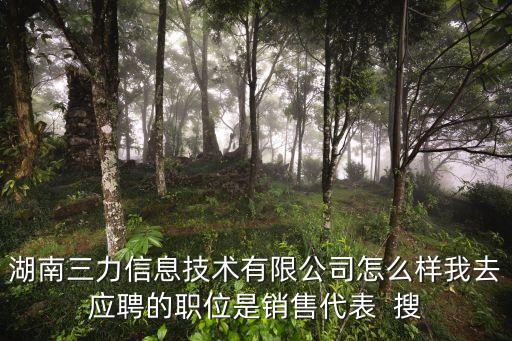 湖南三力信息技術有限公司怎么樣我去應聘的職位是銷售代表  搜