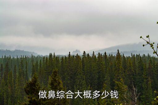 做鼻綜合大概多少錢