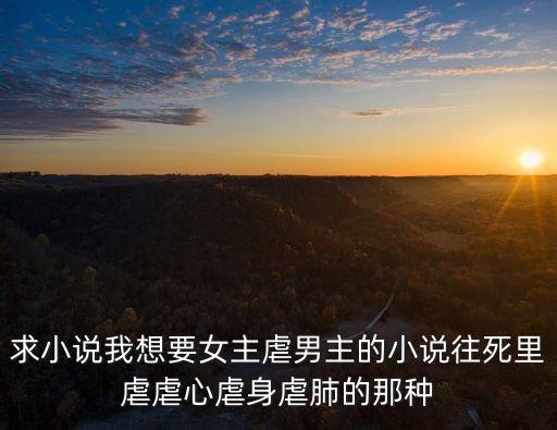 求小說我想要女主虐男主的小說往死里虐虐心虐身虐肺的那種