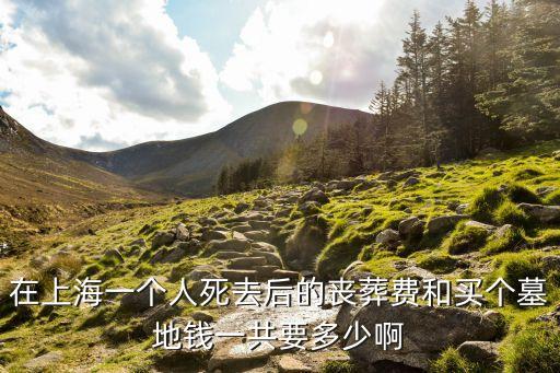 在上海一個人死去后的喪葬費和買個墓地錢一共要多少啊
