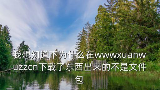 上海市民政局文件下載，我想知道下為什么在wwwxuanwuzzcn下載了東西出來的不是文件包