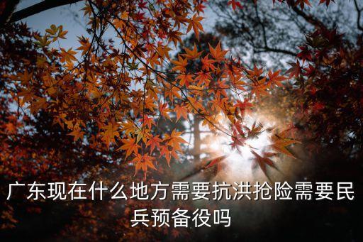 廣東現在什么地方需要抗洪搶險需要民兵預備役嗎