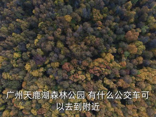 廣州天鹿湖森林公園 有什么公交車可以去到附近