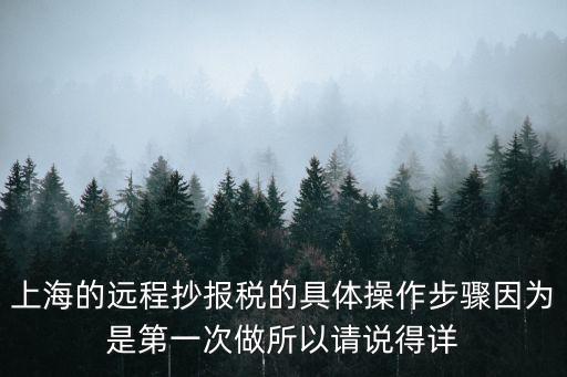上海的遠程抄報稅的具體操作步驟因為是第一次做所以請說得詳
