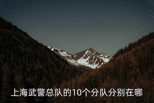 武警上海市總隊現在結構調整，上海武警總隊有幾個支隊