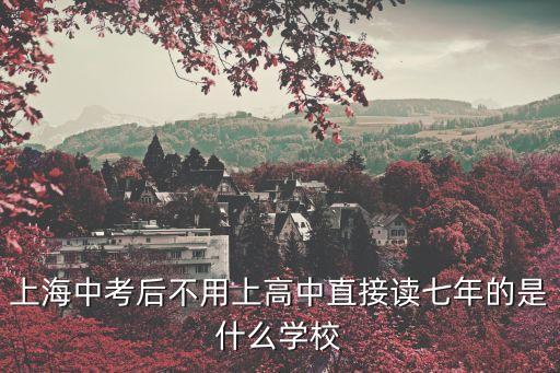 上海市中本貫通學校有哪些，外地戶口的學生在滬中考可以考哪些中本貫通的學校