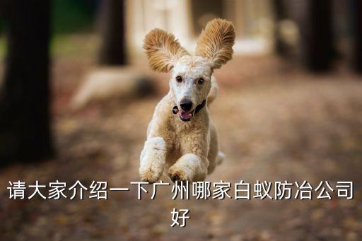 請大家介紹一下廣州哪家白蟻防冶公司好