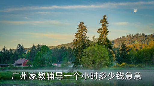 廣州家教輔導(dǎo)一個(gè)小時(shí)多少錢(qián)急急