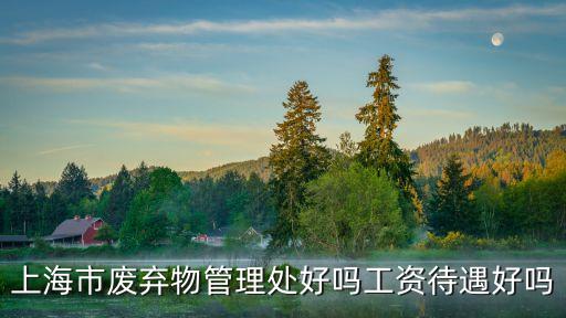 上海市廢棄物管理處好嗎工資待遇好嗎