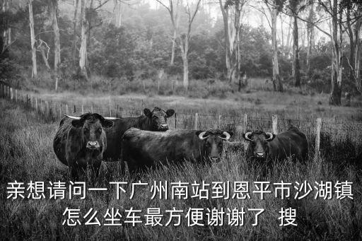 親想請問一下廣州南站到恩平市沙湖鎮(zhèn)怎么坐車最方便謝謝了  搜