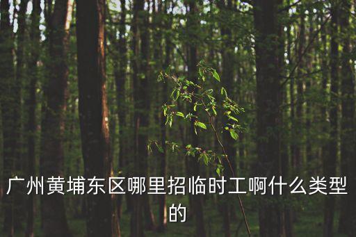 廣州黃埔東區哪里招臨時工啊什么類型的