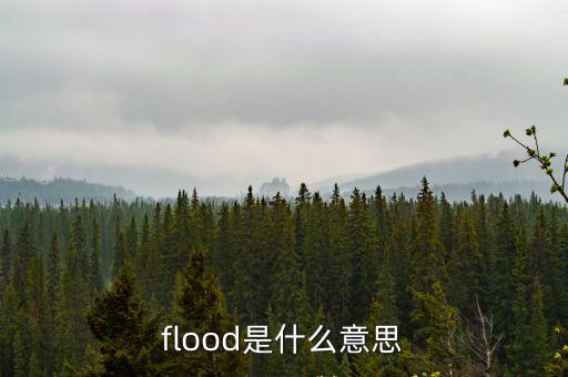 flood是什么意思