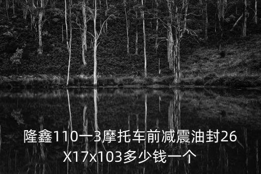 隆鑫110一3摩托車前減震油封26X17x103多少錢一個(gè)
