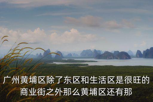 廣州黃埔區(qū)除了東區(qū)和生活區(qū)是很旺的商業(yè)街之外那么黃埔區(qū)還有那