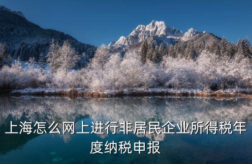 上海市網(wǎng)上納稅平臺(tái)，上海怎么網(wǎng)上進(jìn)行非居民企業(yè)所得稅年度納稅申報(bào)