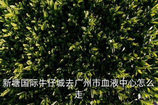 新塘國際牛仔城去廣州市血液中心怎么走