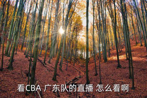廣東與廣州男籃現場直播，哪個衛視直播CBA只求省級衛視噢
