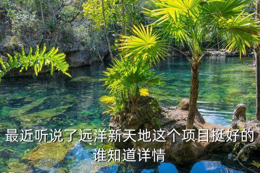 最近聽說了遠洋新天地這個項目挺好的誰知道詳情