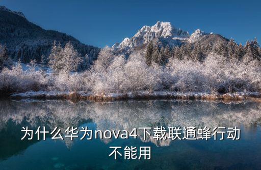 蜂行動，聯通蜂行動傭金后續還有嗎