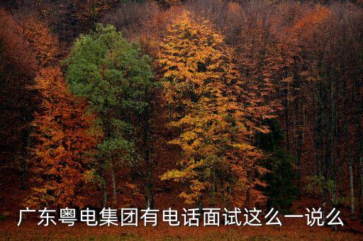 廣東粵電集團有電話面試這么一說么