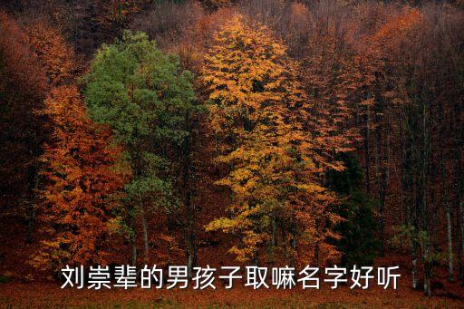 劉崇俊，劉崇輩的男孩子取嘛名字好聽