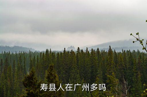 壽縣人在廣州多嗎