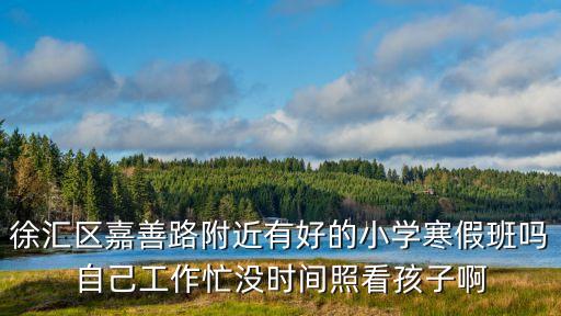 上海市徐匯區嘉善路附近畫畫培訓班，上海徐匯區有哪里學畫畫的啊可以推薦下嗎想帶寶寶去學
