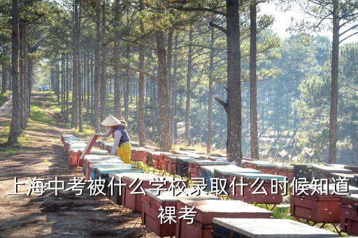 上海中考被什么學(xué)校錄取什么時(shí)候知道裸考
