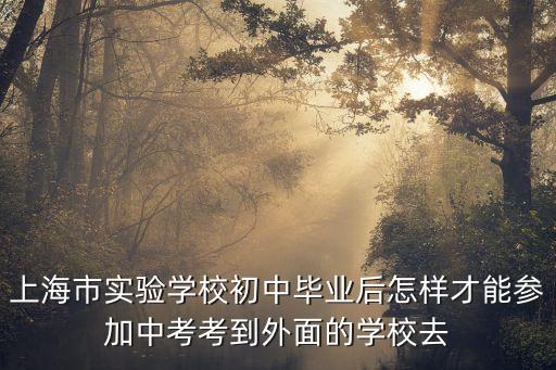 學(xué)區(qū)外考上海市實驗西校怎么申請，上海實驗學(xué)校西校開始報名的了嗎學(xué)校收簡歷了嗎