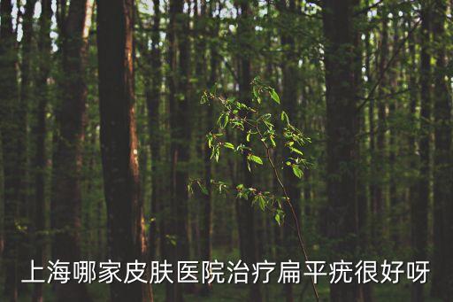 上海哪家皮膚醫院治療扁平疣很好呀