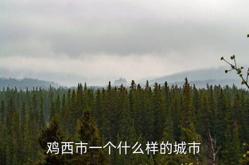雞西市一個什么樣的城市