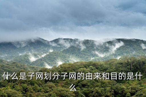 什么是子網劃分子網的由來和目的是什么