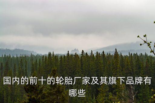 國內的前十的輪胎廠家及其旗下品牌有哪些