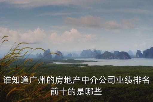 誰知道廣州的房地產中介公司業績排名前十的是哪些