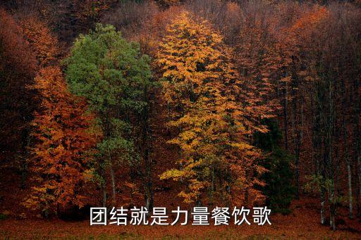 團(tuán)結(jié)就是，什么是團(tuán)結(jié)呢