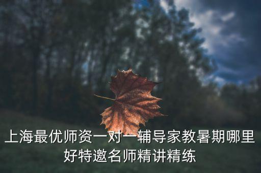 上海市十三五教師培訓心得，上海新尚教育輔導效果怎么樣上海專業輔導名師提分優輔