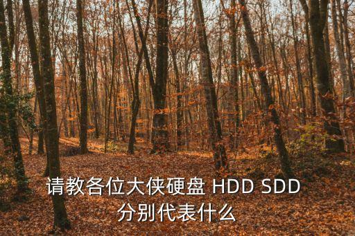 請教各位大俠硬盤 HDD SDD 分別代表什么